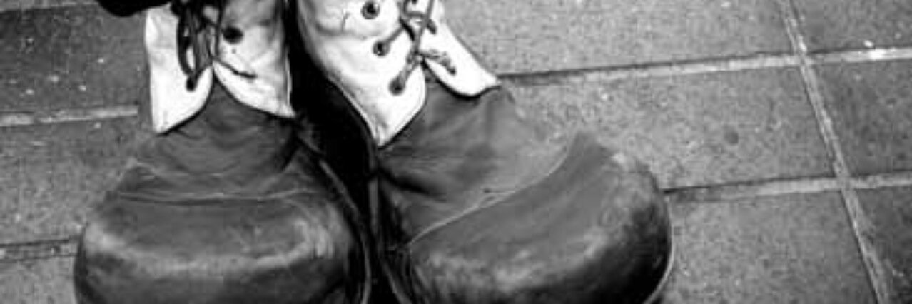 monicominito's profile banner image