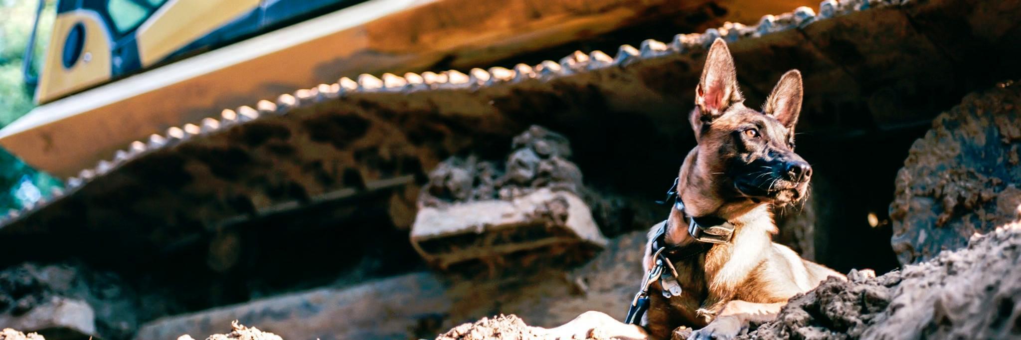 Chris Ballance banner