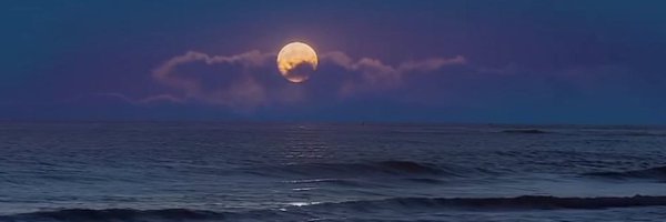 universeofnisha Profile Banner