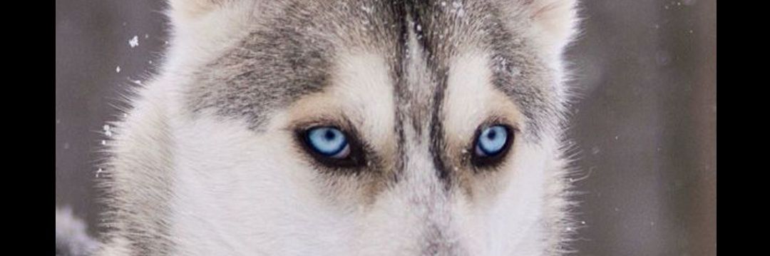 Hugo04J's profile banner image