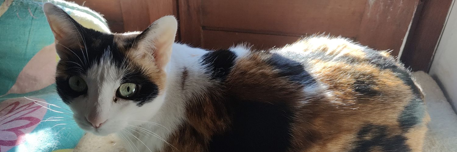 🔴⚫TrueOgre🔴⚫🏆🏆🏆🏆🏆🏆🏆 banner