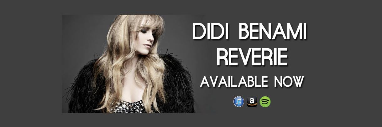 Didi Benami banner