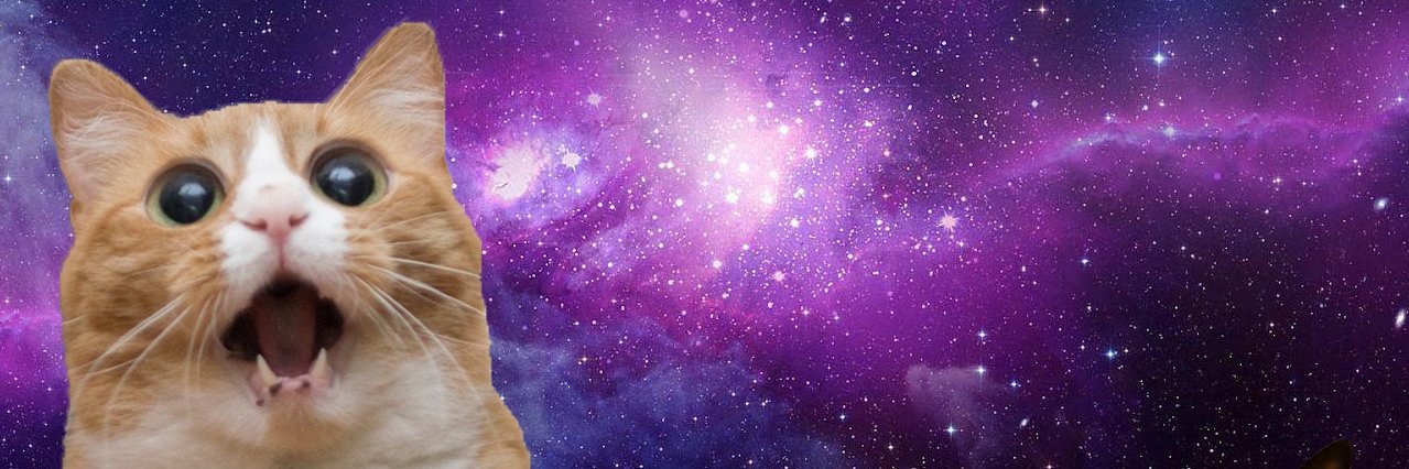 SushiNur's profile banner image