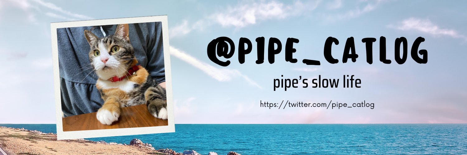 pipe_catlog's profile banner image