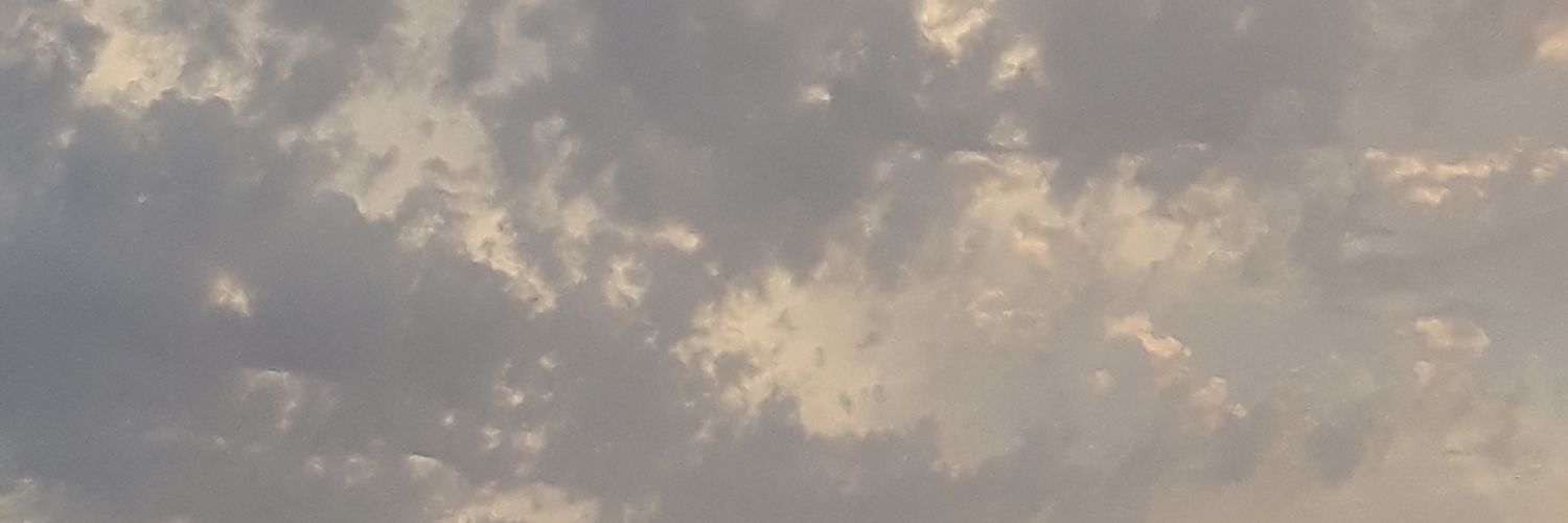laurapg_26's profile banner image