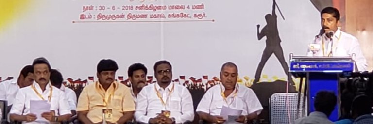 Mannai T.Chozharajan banner