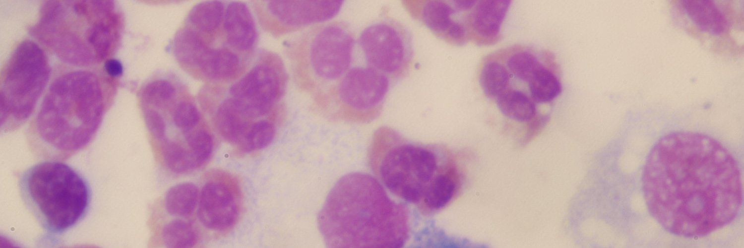 Alexandra Sanchez-Martinez banner