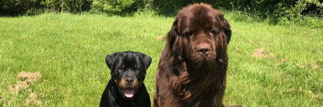 Chris Oconnell banner