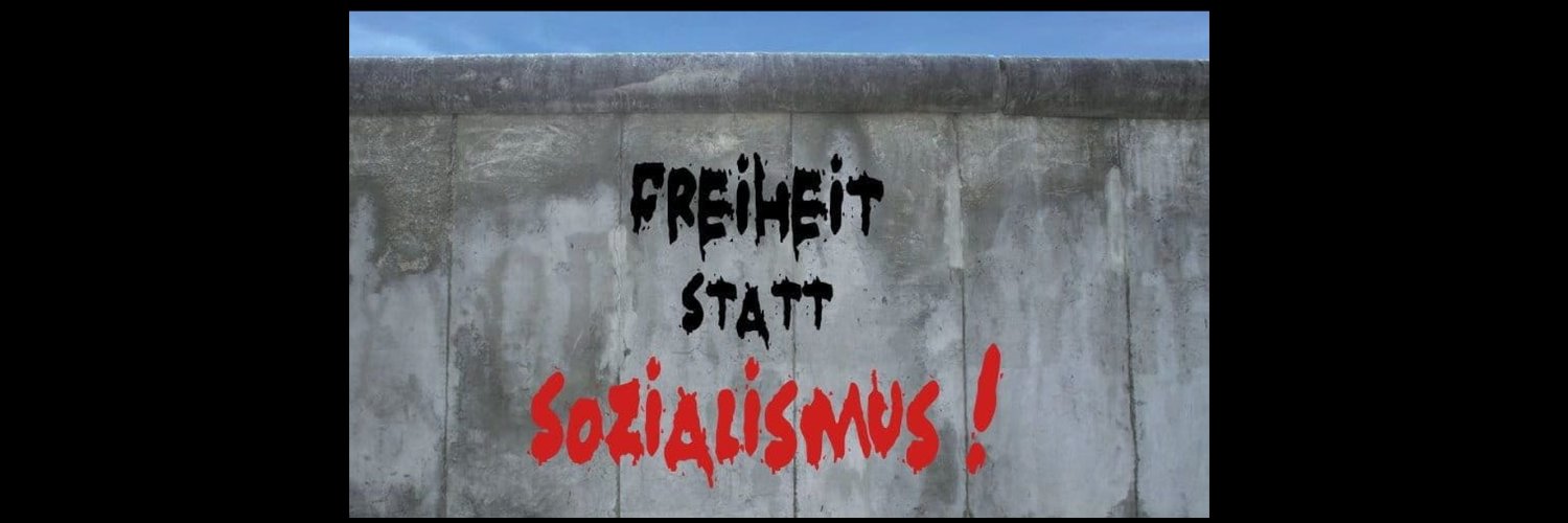 Der Falke 🎗 🇩🇪 🇮🇱 🇺🇸's banner