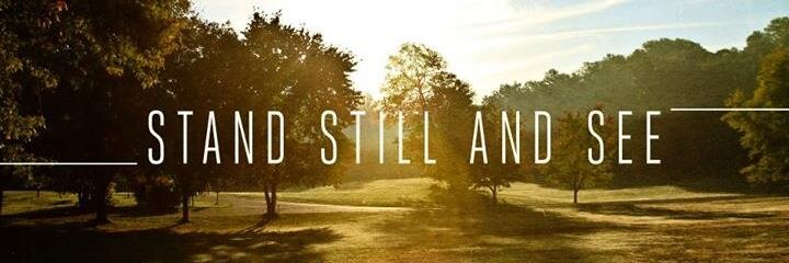 hananieloktavia's profile banner image