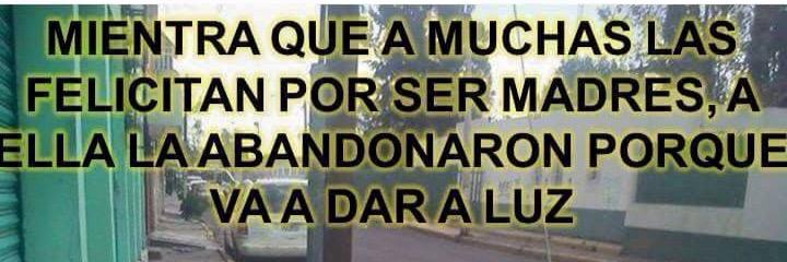 Amor X los animales♥ banner