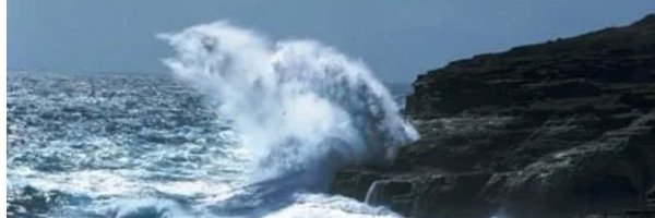 dwainer Profile Banner