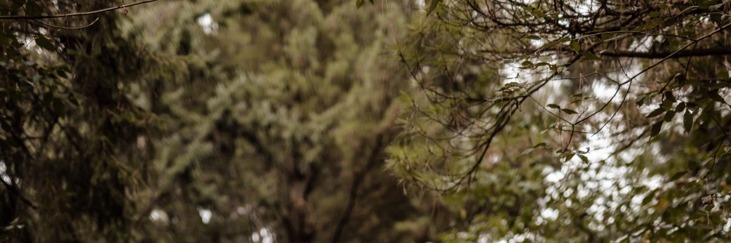 ellbell1221's profile banner image