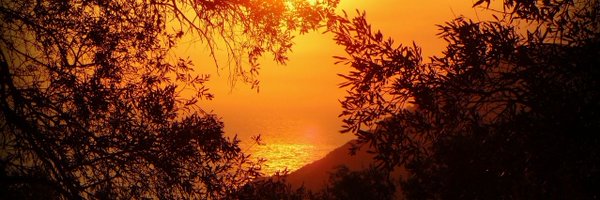 soumitdutta_sci Profile Banner