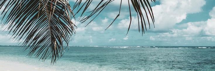steffisaced's profile banner image