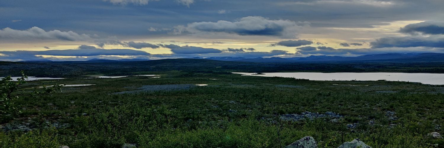 NikuPiitulainen's profile banner image