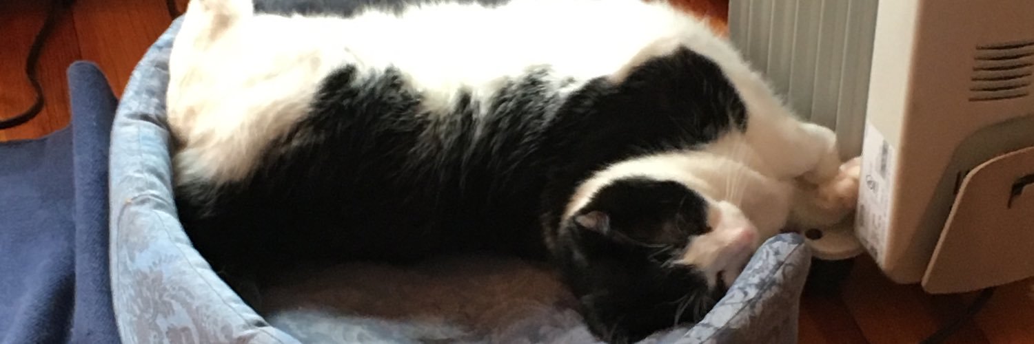 Greg Bowne 🏳️‍🌈 banner