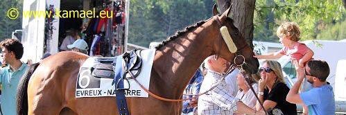 David Windrif banner