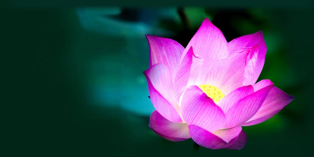 openmind99oum's profile banner image
