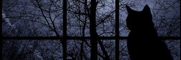 RealStockCats Profile Banner