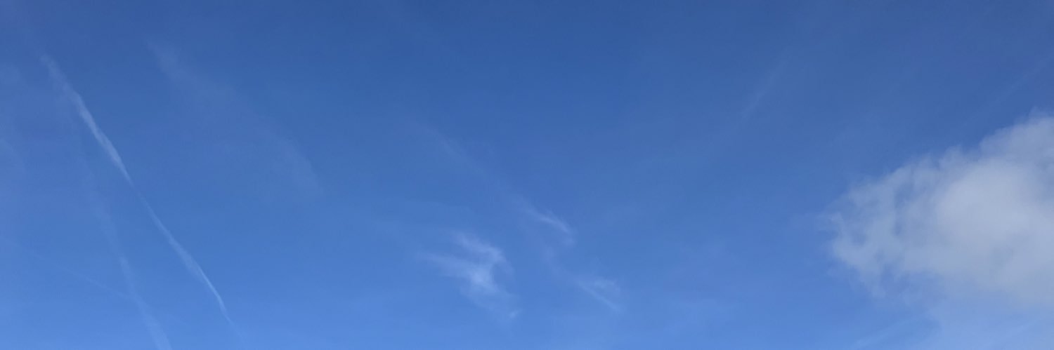 ellenhilton_'s profile banner image