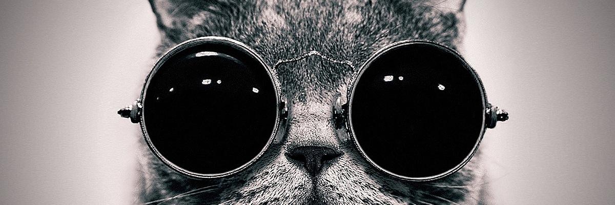 SvennPype's profile banner image