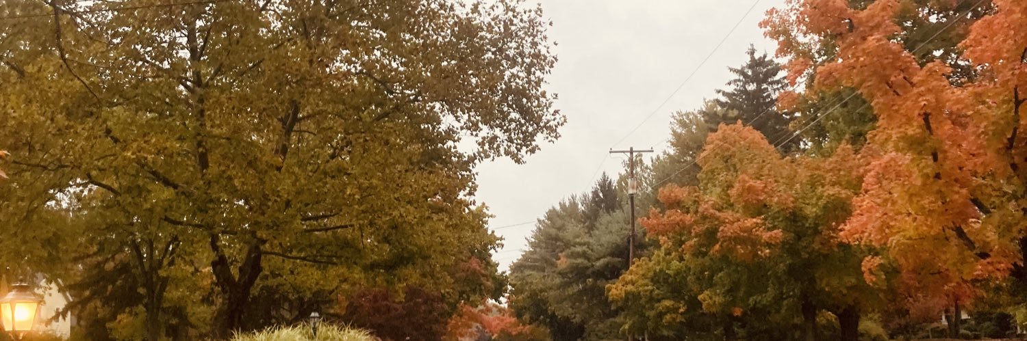 Dante Melillo banner