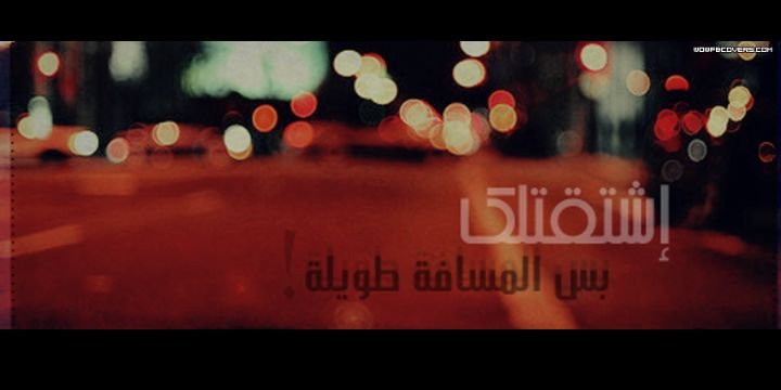 x_qu19's profile banner image