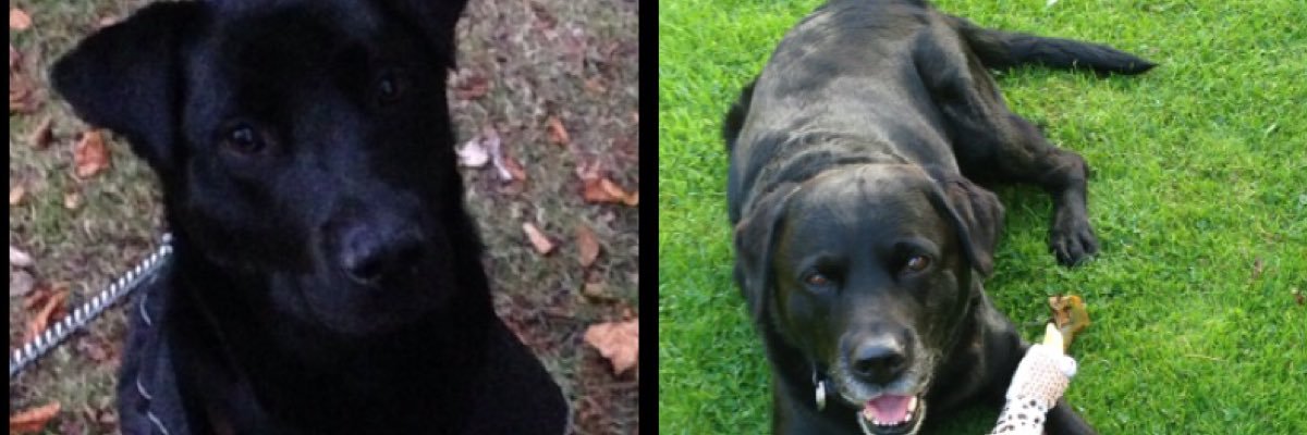 Jayne_3_'s profile banner image