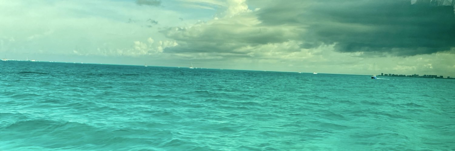 MonseRusherAM's profile banner image