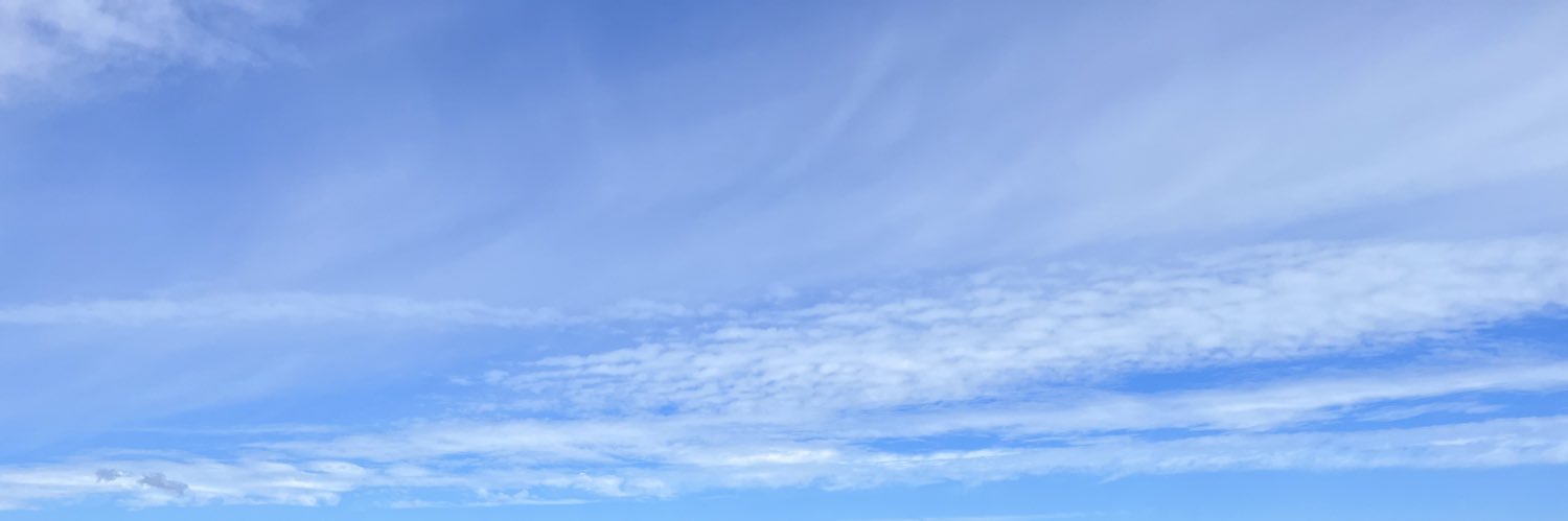 shrek banner