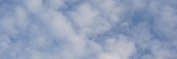 ancritics1 Profile Banner