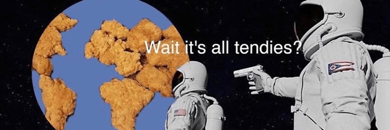 HundredBagger banner