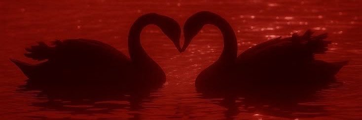 mat__4i's profile banner image