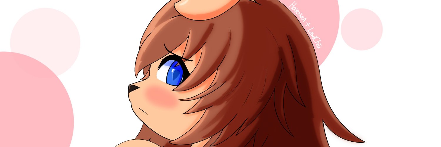 Hayaken216's profile banner image
