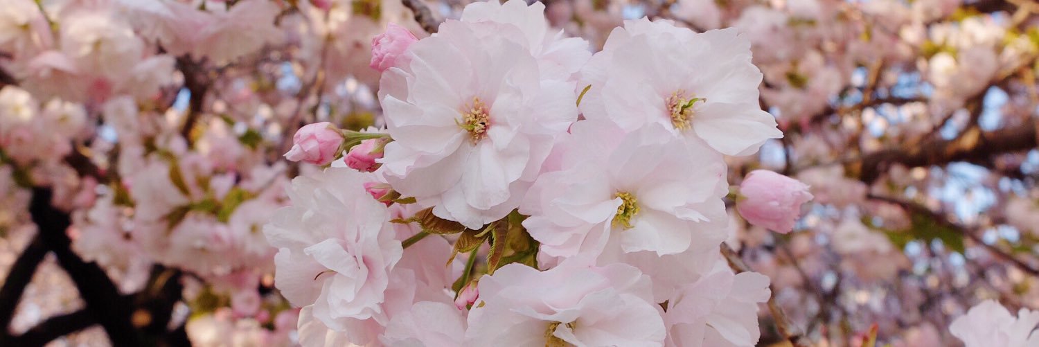 titabimbim's profile banner image