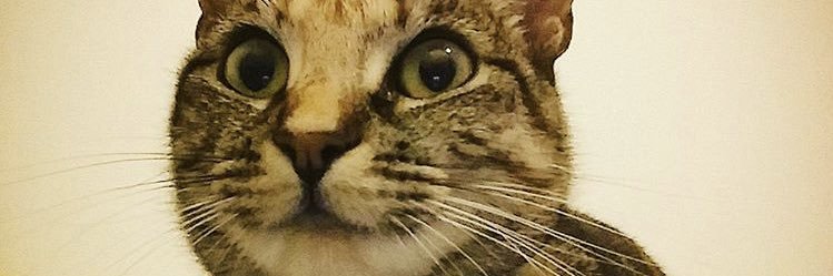 mmaarii_'s profile banner image
