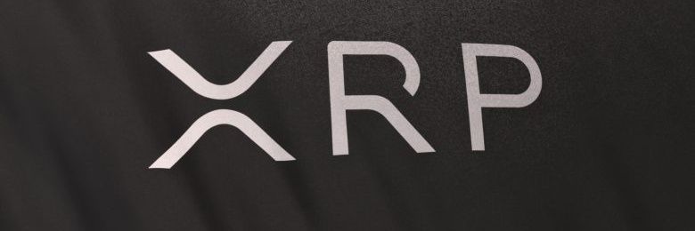 dotXRPortal banner