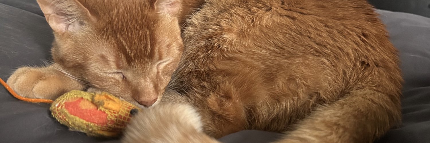 bdub4935's profile banner image