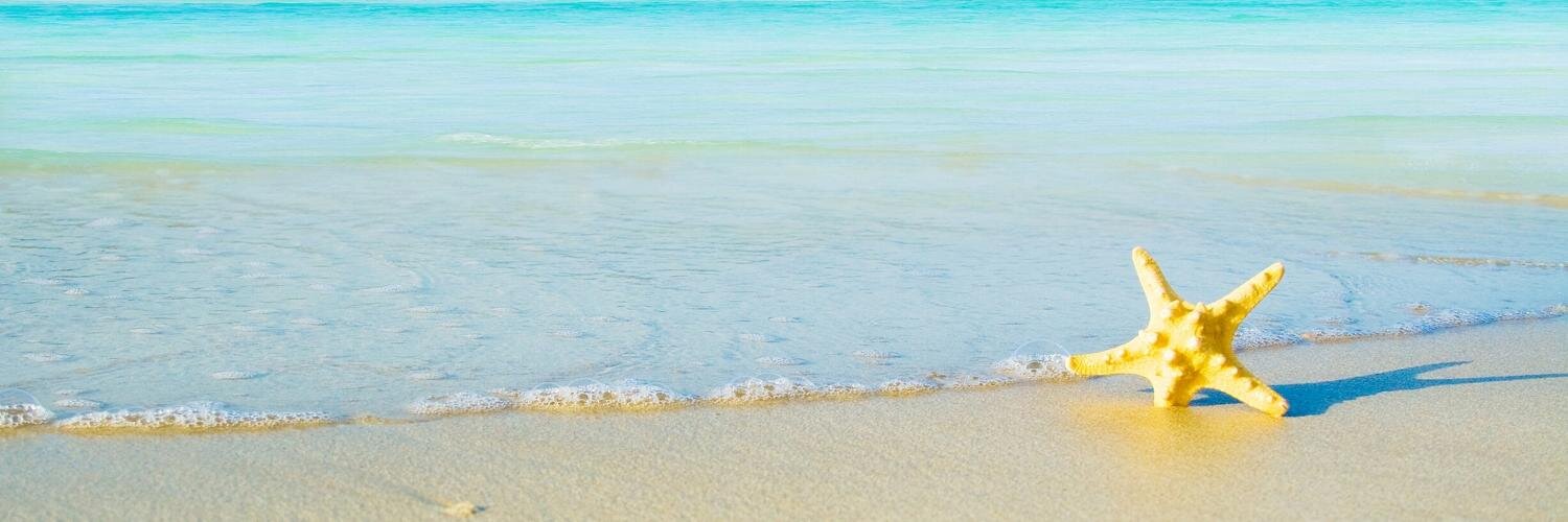 alex banner