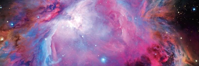 Michael E. Newman banner