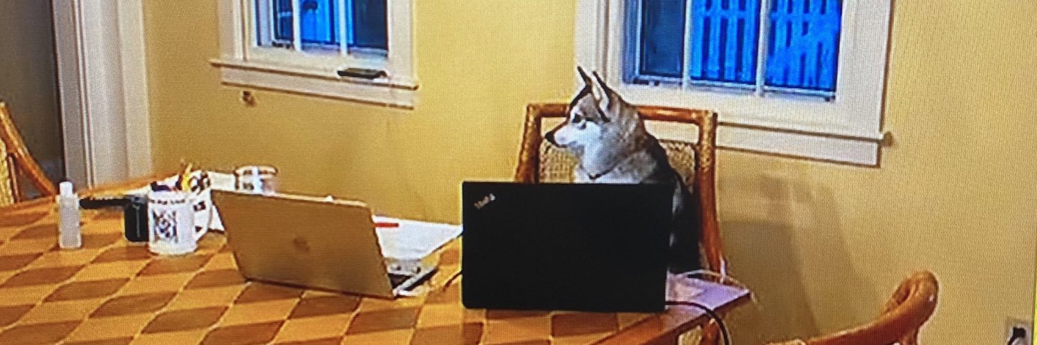 Andrew Kochman banner