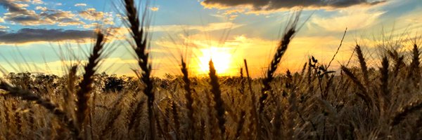 AgriFocused Profile Banner