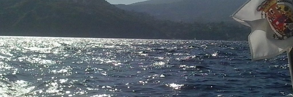 marilaba1's profile banner image