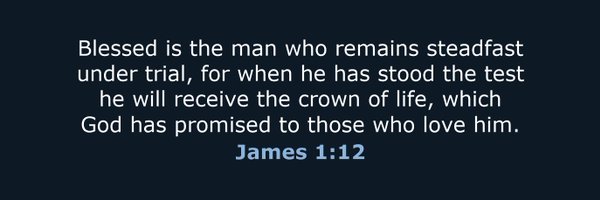 DavidSchmidt_ Profile Banner