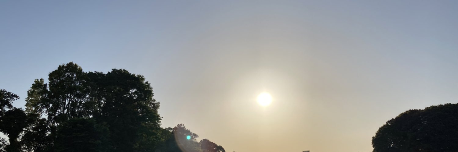 綿棒α banner