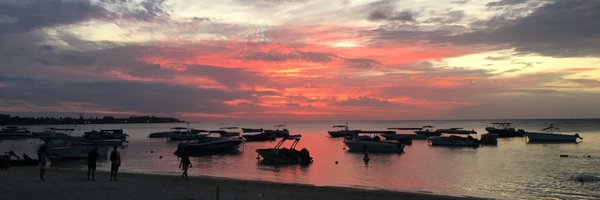 OSourdin Profile Banner