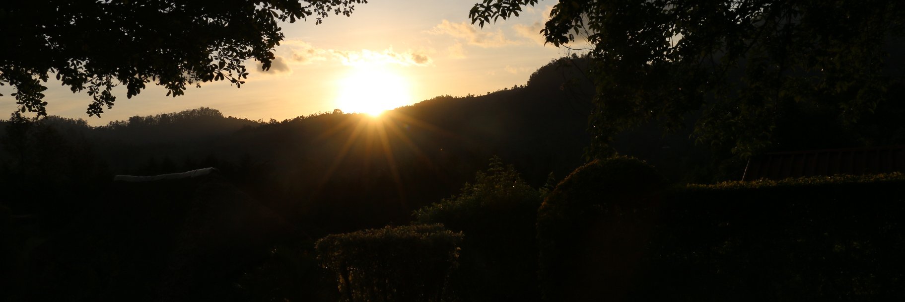 Omil Innocent Deckoks banner