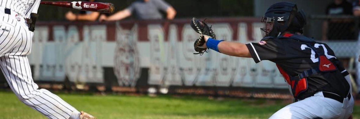 Dominic Sintic banner