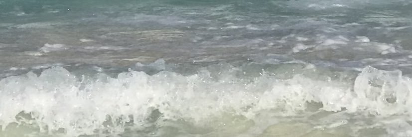 aideeperezp's profile banner image